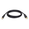 TRPU022010 - USB 2.0 A/B Cable, 10 ft, Black