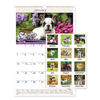 AAGDMW16728 - Puppies Monthly Wall Calendar, Puppies Photography, 15.5 x 22.75, White/Multicolor Sheets, 12-Month (Jan to Dec): 2024