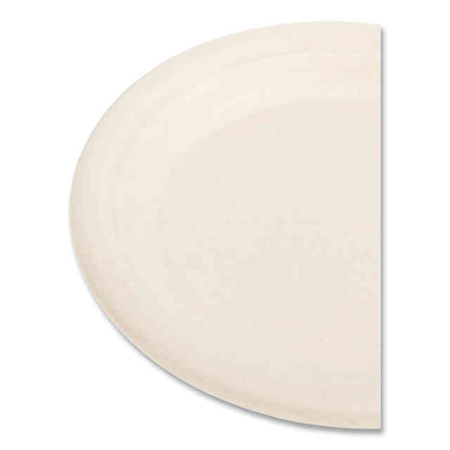 BWKPLATEWF6NPFA Product Image 2