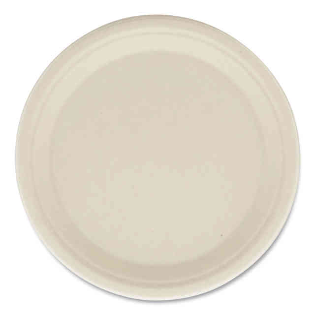 BWKPLATE10NPFA Product Image 2