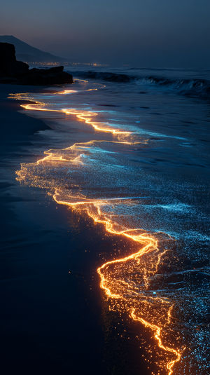Bioluminescent waves tracing a glowing blue and amber line along a dark sandy shoreline under a deep twilight sky.