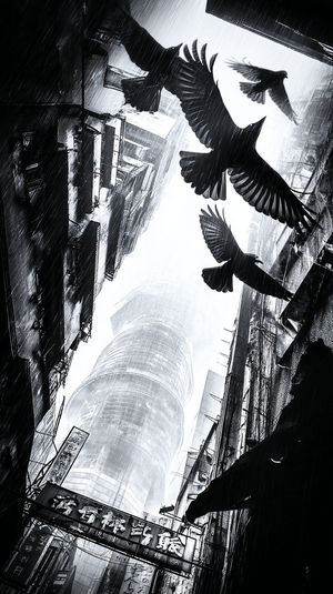 Black and white 4K scene of birds flying through a rainy urban alley, with neon signs and a towering skyscraper overhead.