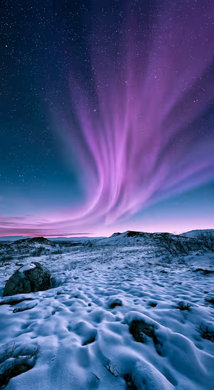 Winter aurora landscape in purple and blue tones above a snowy field at night