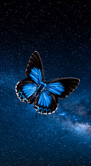 Celestial blue butterfly centered on a star filled galaxy background in a surreal aesthetic.