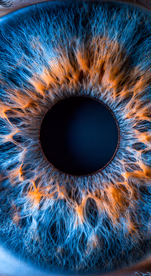 Blue Orange Iris Macro — iPhone lock screen wallpaper