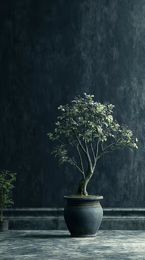 Minimalist bonsai in ceramic pot centered on a dark green textured wall, ultra hd 8K background.