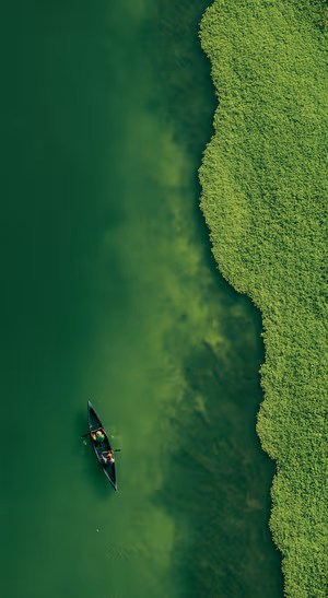 Aerial canoe beside dense floating vegetation on emerald green water ultra HD phone background