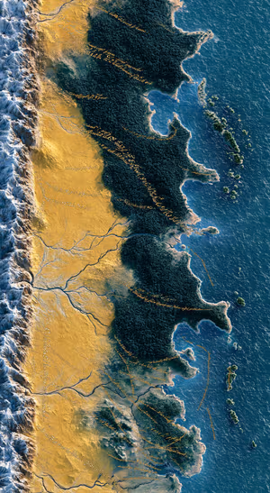 Vintage fantasy coast map in gold and teal tones with forest, rivers, and detailed shorelines
