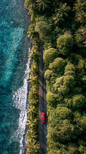 Aerial coastal road with red car between turquoise ocean and lush green trees, ultra HD 8K background