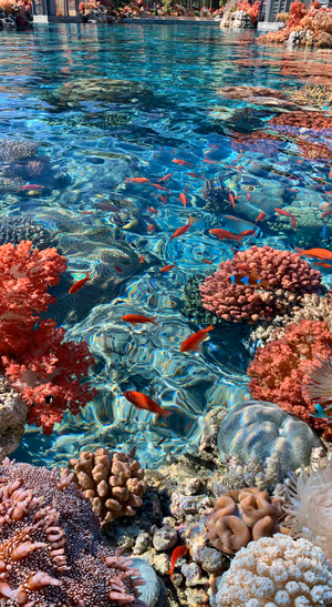 Photorealistic coral reef centered on a turquoise background in an underwater aesthetic.