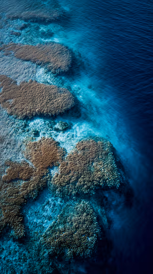 Aerial coral reef formation on a teal and deep blue seascape in ultra HD, detailed aerial photography for iPhone background.