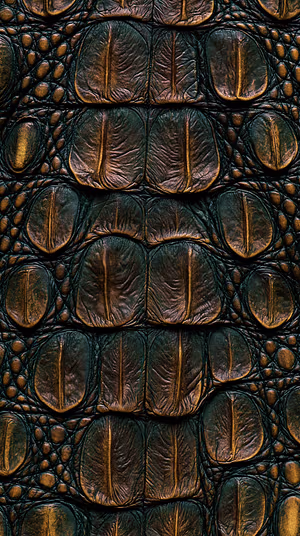 Bronze Croc Hide