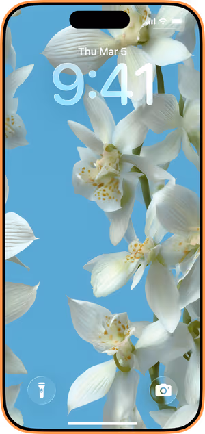 Wallpaper preview on iPhone 17 Pro Max running iOS 26 - White Orchid Bloom