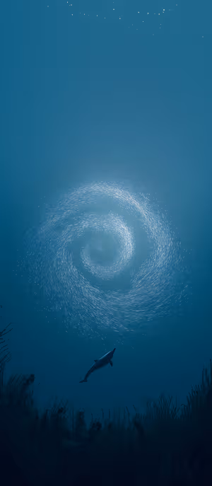 Dolphin Spiral