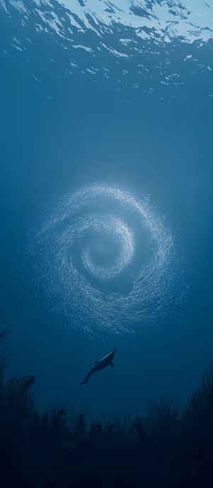 Dolphin Spiral Vortex