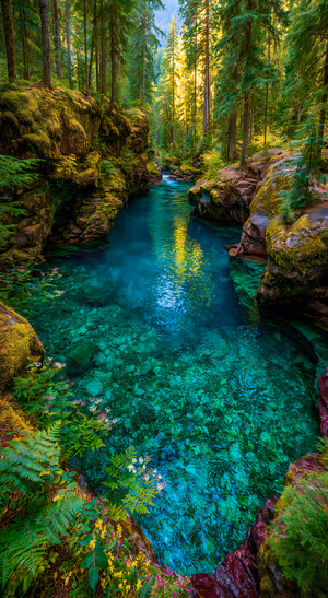 Lush forest pool with crystal turquoise water and mossy rocks on a green background ultra HD wallpaper