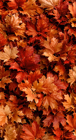 Textured maple leaves centered on a red and orange background in a fall collage aesthetic.