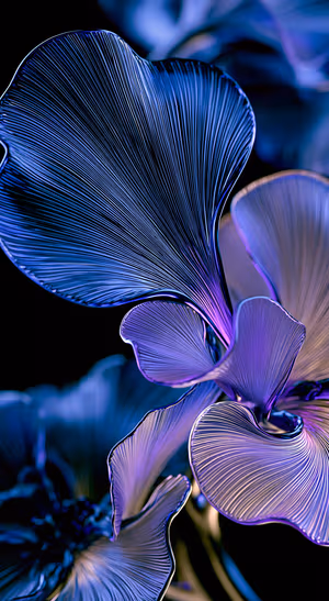 Aesthetic blue and purple flower petals with fine ribbed lines on a black background.