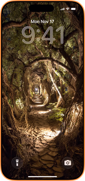 Wallpaper preview on iPhone 17 Pro Max running iOS 26 - moonlit root tunnel