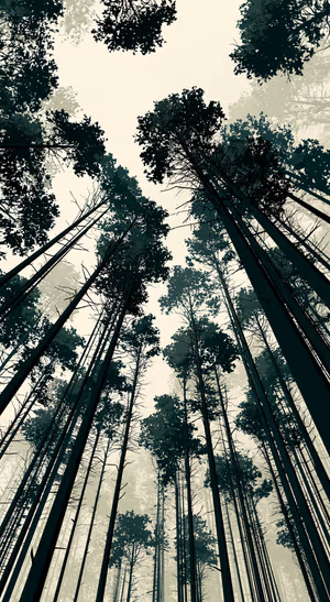 Minimalist forest canopy in dark green silhouettes against a soft beige background
