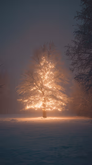 glowing winter tree