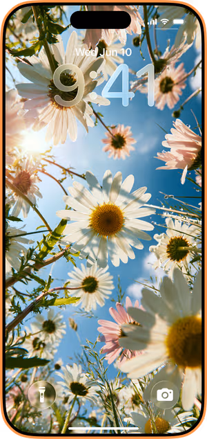 Wallpaper preview on iPhone 17 Pro Max running iOS 26 - Sunlit Daisy Meadow