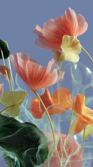 Ethereal translucent poppies centered on a soft blue background with pastel pink tones and flowing wireframe lines, ultra hd.