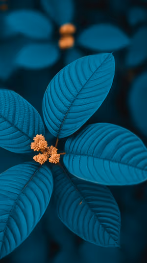 Macro botanical leaves with clustered golden blooms centered on a deep teal background in moody aesthetic, ultra HD