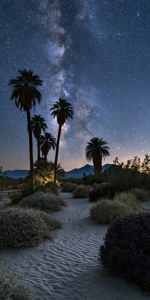 Astrophotography palm oasis under a deep blue Milky Way sky in a cinematic night aesthetic, ultra hd 8K background.