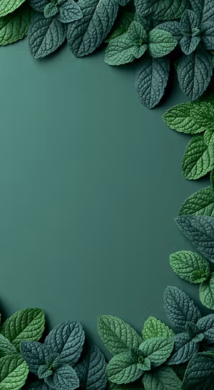Emerald Mint Frame — iPhone lock screen wallpaper