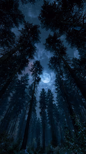 Moonlit Pine Forest
