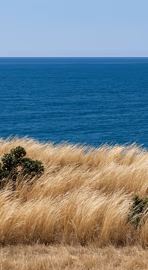 Natural coastal ocean scene centered on a blue background in natural aesthetic.