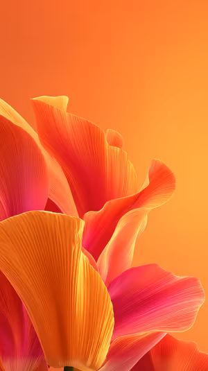 Abstract close up of orange and pink petals with flowing linear texture on a warm gradient ultra HD image.