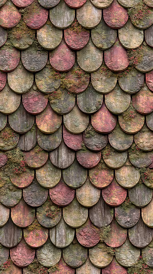Weathered scallop shingles with moss and lichen on a moss green and muted rose textured background, ultra hd.