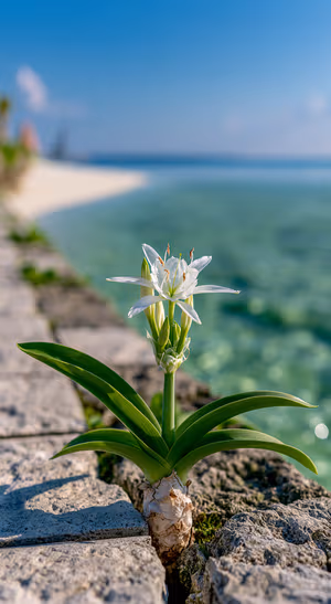 Photographic sea daffodil centered on a turquoise coastal background in a bright, minimal aesthetic, ultra hd.