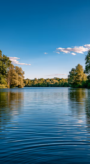 Nature lake scene centered on a blue background in serene photographic aesthetic