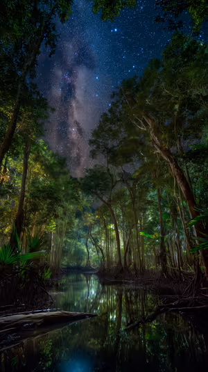 Long exposure astro landscape of a starlit mangrove with Milky Way above and river reflections in deep green and midnight blue.