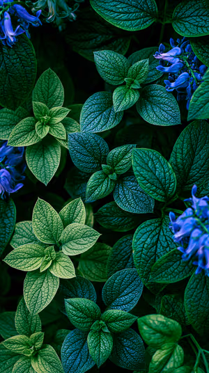 Lush Teal Leaves