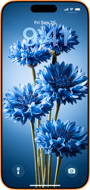 Wallpaper preview on iPhone 17 Pro Max running iOS 26 - Blue Cornflower Bouquet