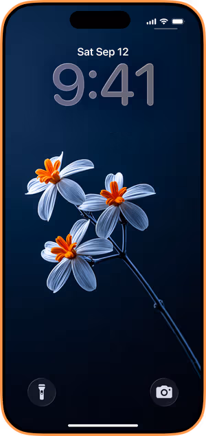 Wallpaper preview on iPhone 17 Pro Max running iOS 26 - Midnight Blue Floral Branch