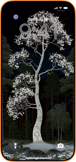 Wallpaper preview on iPhone 17 Pro Max running iOS 26 - Moonlit Silver Birch Tree