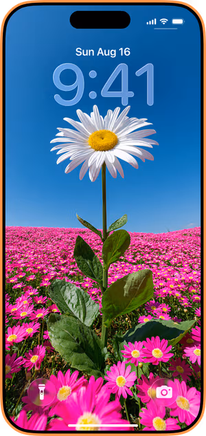 Wallpaper preview on iPhone 17 Pro Max running iOS 26 - White Daisy Pink Meadow