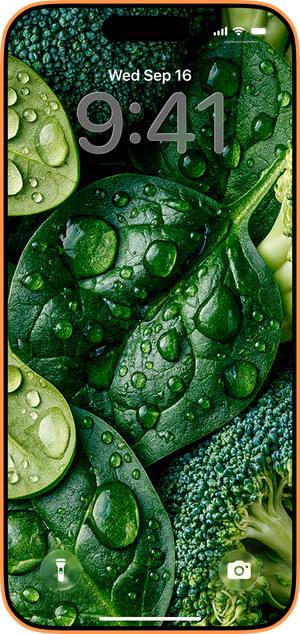 Wallpaper preview on iPhone 17 Pro Max running iOS 26 - Dewy Green Vegetable Macro