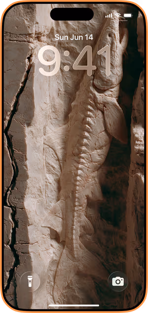 Wallpaper preview on iPhone 17 Pro Max running iOS 26 - Fossil Sturgeon Relief