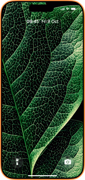 Wallpaper preview on iPhone 17 Pro Max running iOS 26 - Emerald Leaf Vein Macro