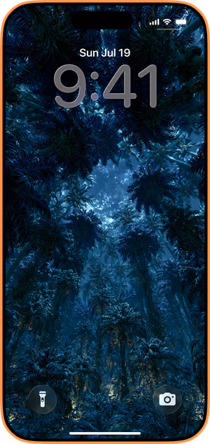 Wallpaper preview on iPhone 17 Pro Max running iOS 26 - Midnight Palm Canopy