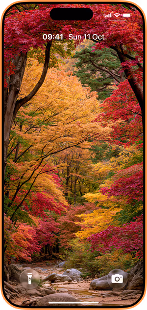 Wallpaper preview on iPhone 17 Pro Max running iOS 26 - Autumn Maple Forest