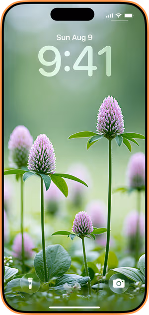 Wallpaper preview on iPhone 17 Pro Max running iOS 26 - Pink Clover Meadow