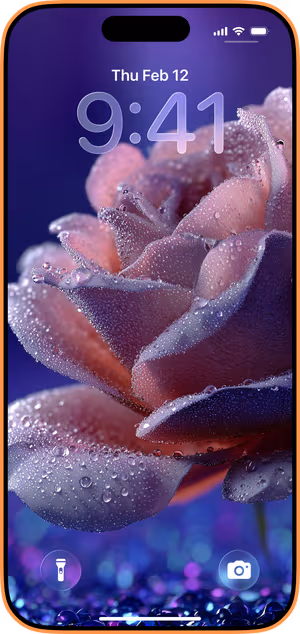 Wallpaper preview on iPhone 17 Pro Max running iOS 26 - Dewkissed Purple Rose