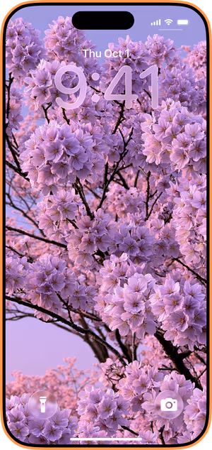 Wallpaper preview on iPhone 17 Pro Max running iOS 26 - Lavender Cherry Blossom